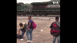 移民冒险跳上开往美墨边境的火车，只为在“第42条”失效前入境美国