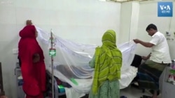 বাংলাদেশে ডেঙ্গুর প্রাদুর্ভাব, কয়েকশো মানুষের প্রাণহানি