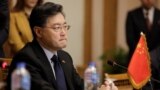 中国前外交部长秦刚