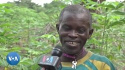 Congo : Wildlife Works développe un projet pilote dans la région du Mayi Ndombe