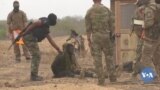 🇺🇸🌍Ameriki ye Afiriki tilebinyanfan sɔrɔdasiw dege, jihadiw ka bagabagali bɛ ka jɛnsɛn
K’a sɔrɔ fariyako juguw bɛ ka jɛnsɛn