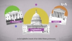 Explainer: US House versus Senate 