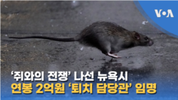 ‘쥐와의 전쟁’ 나선 뉴욕시...연봉 2억원 ‘퇴치 담당관’ 임명