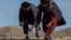 Para petani di distrik Sholgara, provinsi Balkh, Afghanistan, berusaha menangkap belalang yang ramai menyerbu area Kandali di ditrik tersebut, pada 4 Juni 2023. (Foto: AFP/Wakil Kohsar)