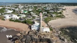 Gundekî Biçûk Yê Uruguay Bi Hunerê Bala Serdaneran Dikşîne
