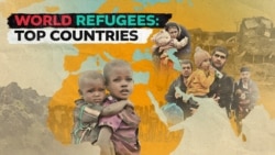 World Refugee Day: The Crisis in Numbers