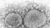 ARCHIVO - La imagen de microscopio electrónico de 2020 distribuida por los Centros de Control y Prevención de enfermedades muestra partículas de virus SARS-CoV-2, que causa COVID-19.