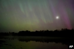 The northern lights glow in the sky over St. Croix State Forest near Markville, Minn., late Friday, May 10, 2024. (AP Photo/Mark Vancleave)
