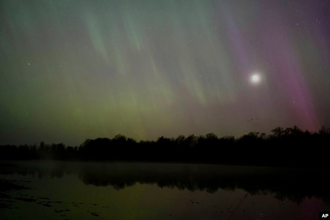 The northern lights glow in the sky over St. Croix State Forest near Markville, Minn., late Friday, May 10, 2024. (AP Photo/Mark Vancleave)