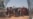 Hope for Refugees in Africa, Syria Tops Week's Immigration News