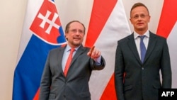 FILE - Menteri Luar Negeri Austria Alexander Schallenberg (kiri) dan Menteri Luar Negeri dan Perdagangan Hungaria Peter Szijjarto di Budapest, Hungaria, 14 Juli 2020. (ATTILA KISBENEDEK/AFP)