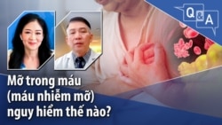 Mỡ trong máu (máu nhiễm mỡ) nguy hiểm thế nào?