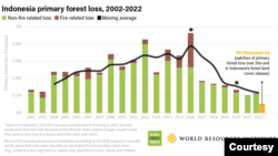 The primary forest loss in Indonesia 2002-2022, in hectares.