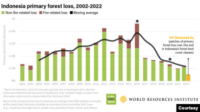 Study: Deforestation Increased in 2022 Despite Promised Reduction