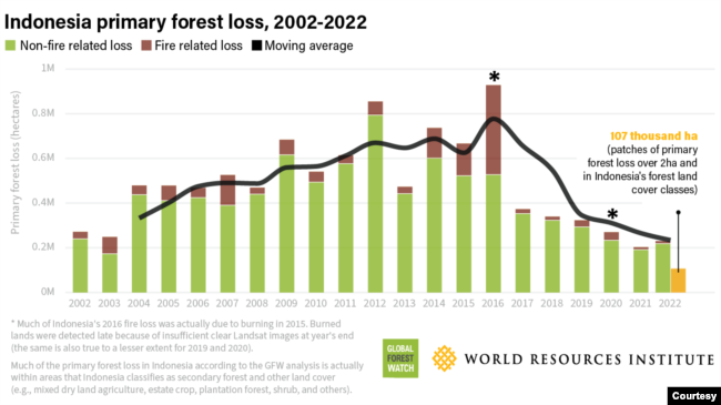 The primary forest loss in Indonesia 2002-2022, in hectares. (Source: World Resources Institute)