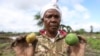 FILE - Farmer Martha Waema, 62, poses for a photo holding a tomato and orange in her 1.2-hectare farm that was left submerged by weeks of relentless rainfall in Machakos, Kenya, May 8, 2024.