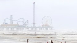 Autoridades de Florida prohibieron el uso de playas del sur del estado tras detectar niveles excesivos de contaminación fecal.