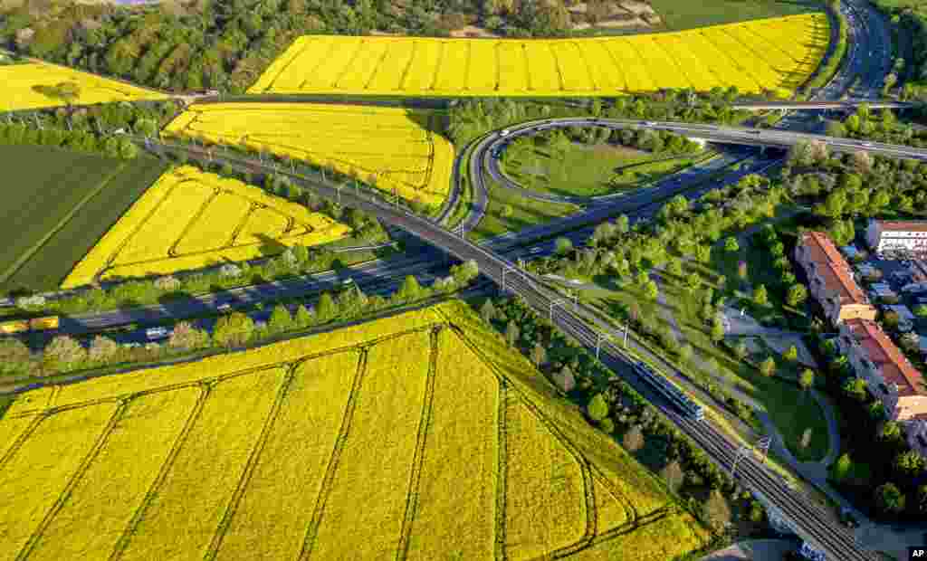 Subway rails and a highway are surrounded by blossoming rape fields in Frankfurt, Germany, May 3, 2023. 