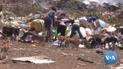 Lixeira em São Tomé e Príncipe "alimenta e mata"