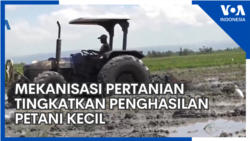 Mekanisasi Pertanian Tingkatkan Penghasilan Petani Kecil -