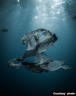 Plastika ispod površine okeana. (Foto: John Kowitz/Ocean Conservancy)