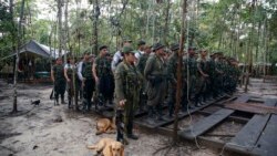 Miembros del Consejo de Seguridad de la ONU reciben en Colombia una actualización sobre los acuerdos de paz
