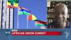 Analyst Urges Africa Union More Action and Less Talk