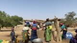 🇲🇱Dji kow Gueleya Koro Marala Tidiane Ouedraogo Sera Dougouden dow ma