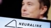 FILE — The Neuralink logo and a photo of Elon Musk are featured in this illustration, Dec. 19, 2022. REUTERS/Dado Ruvic/Illustration/File Photo
