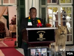 Zimbabwean President Emmerson Mnangagwa talks to reporters at the State House in Harare on April 3, 2024. He declared a nationwide state of emergency, anticipating food shortages caused by drought. (Columbus Mavhunga/VOA)