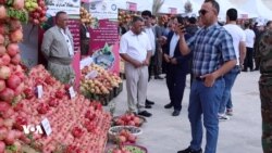 فێستیڤاڵی هەنار لە زاخۆ