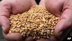 "Завдяки цій ініціативі понад 4 мільйони тонн пшениці було відправлено до країн, що розвиваються. Це близько 8 мільярдів буханок хліба", - заявив держсекретар США Ентоні Блінкен.
