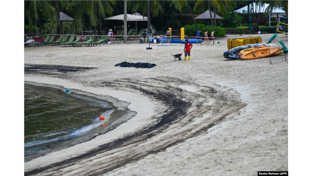 Seorang pekerja membersihkan tumpahan minyak dalam kantong plastik di Pantai Siloso di Pulau Sentosa di Singapura, 15 Juni 2024. Pantai itu ditutup karena tumpahan minyak di pelabuhan terdekat. (Foto: Roslan Rahman/AFP)
