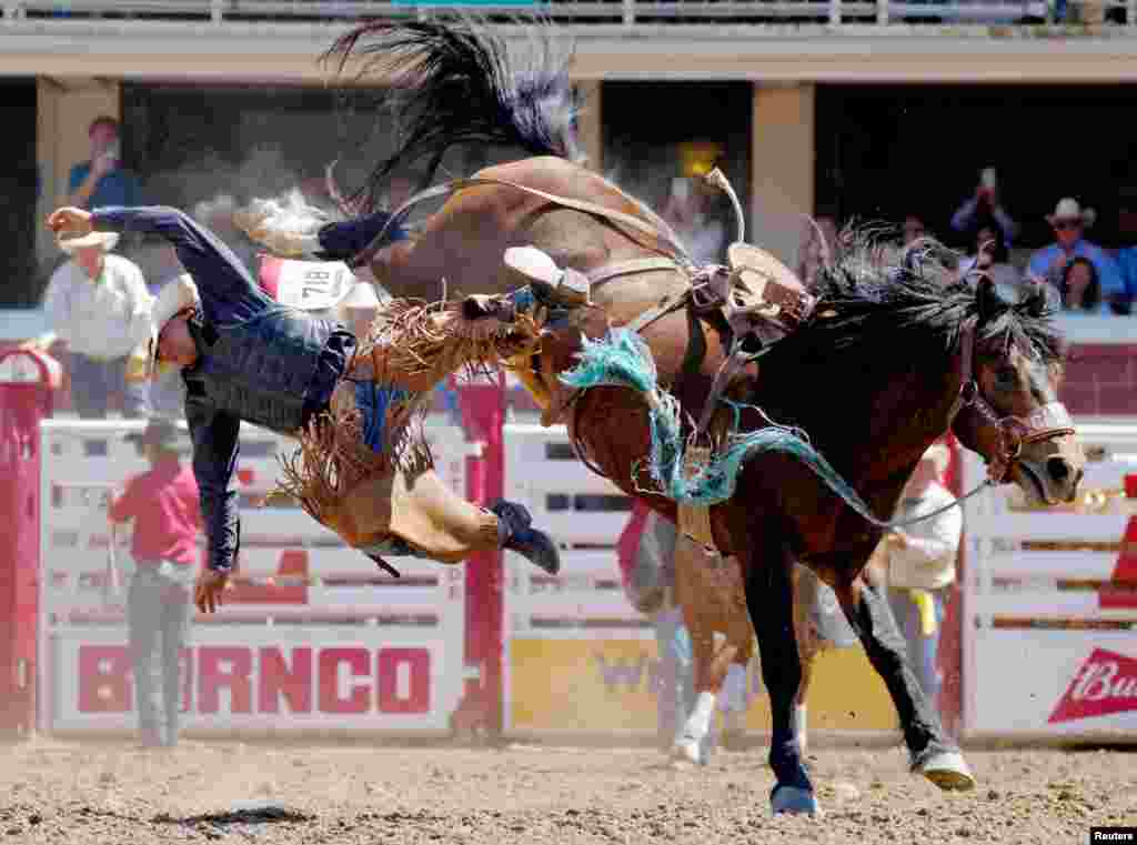 Eastan West of New Underwood, South Dakota, gets bucked off the horse Geared Luxury in the novice saddle bronc event during the rodeo at the Calgary Stampede in Calgary, Alberta, Canada, July 8, 2024.