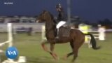 Les courses de chevaux reprennent en Libye après 13 ans d'interruption