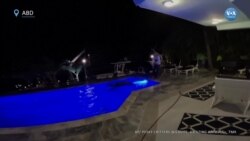 Florida’da evin havuzunda 3 metrelik timsah 