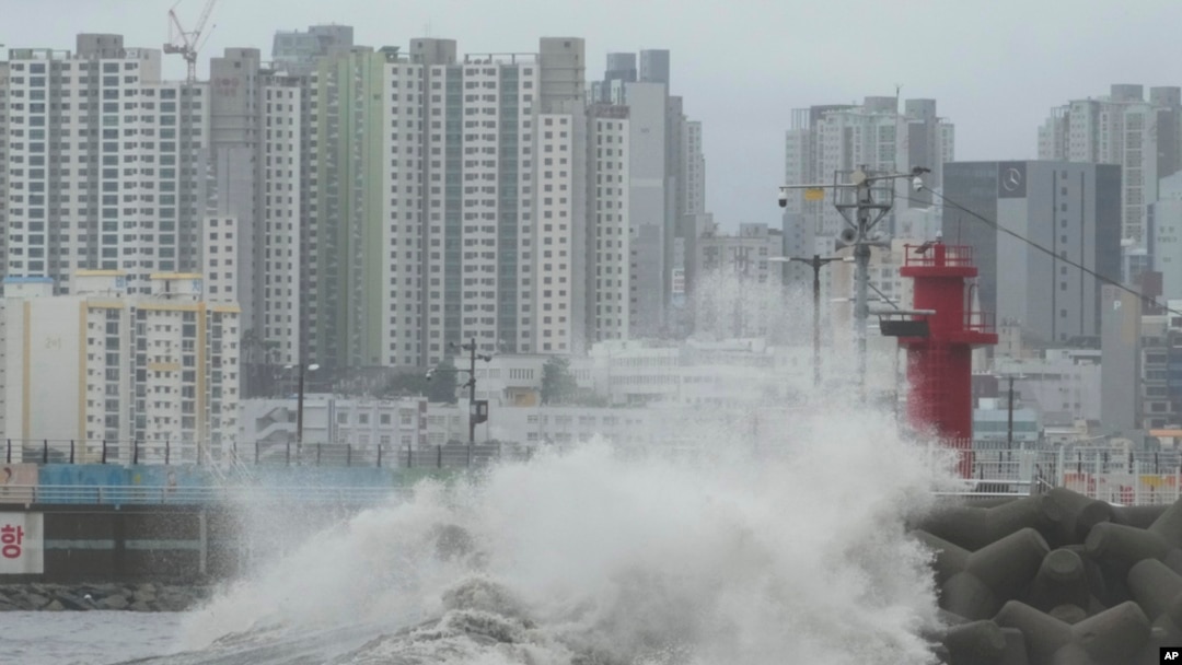 Gelombang tinggi menerjang pantai di Busan, Korea Selatan, saat Topan Khanun mendekati pada 10 Agustus 2023. (Foto: AP)