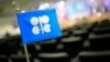 Sejumlah Anggota OPEC+ Sepakat Perpanjang Pemangkasan Produksi Sukarela