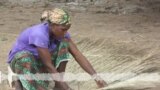 Banankoro dugu la,musow ka baara kunba bɛ to karata-sɔgɔli ye