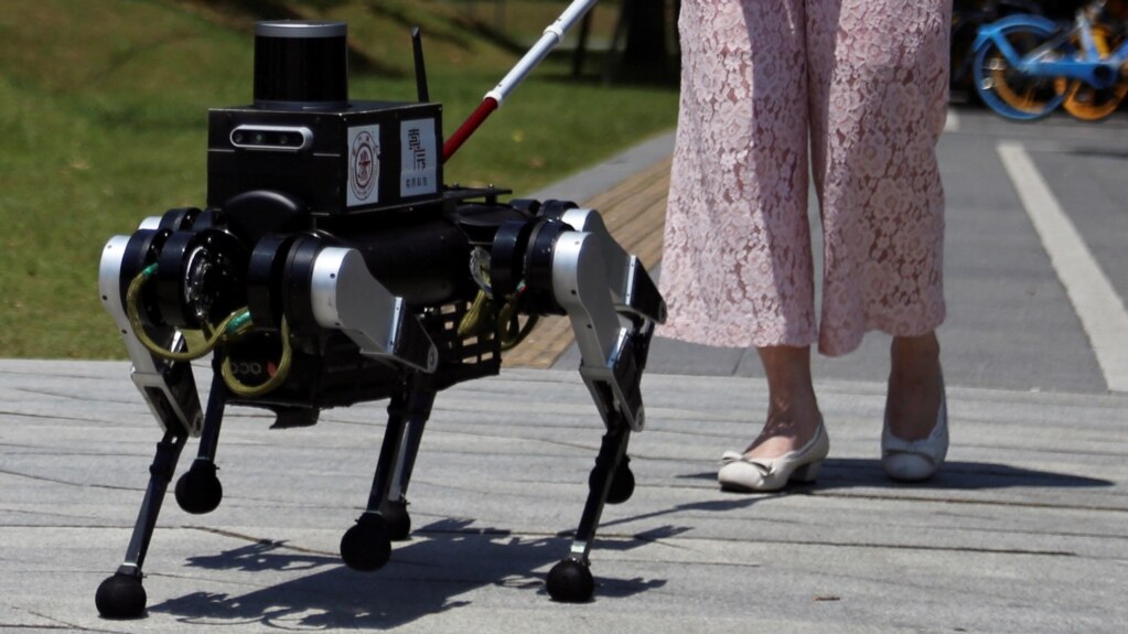 Chinese Researchers Develop Robot Dogs to Assist the Blind