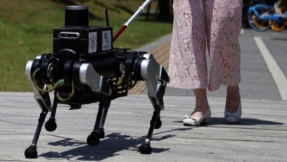 Chinese Researchers Develop Robot Dogs to Assist the Blind