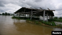 Une pépinière de riz située dans une ferme rizicole inondée à Makurdi, au Nigeria, le 1er octobre 2022. REUTERS / Afolabi Sotunde