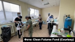 Команда волонтерів проводить стерилізацію собак у зоні відчуження