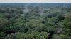 FILE - This aerial view shows trees in the Yangambi forest, 100 km from the city of Kisangani, in the province of Tshopo, northeast of the Democratic Republic of Congo, Sept. 2, 2022. 