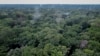 FILE - This aerial view shows trees in the Yangambi forest, 100 km from the city of Kisangani, in the province of Tshopo, northeast of the Democratic Republic of Congo, Sept. 2, 2022. 