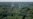 Gabon Summit Promotes Worth of Tropical Rainforests