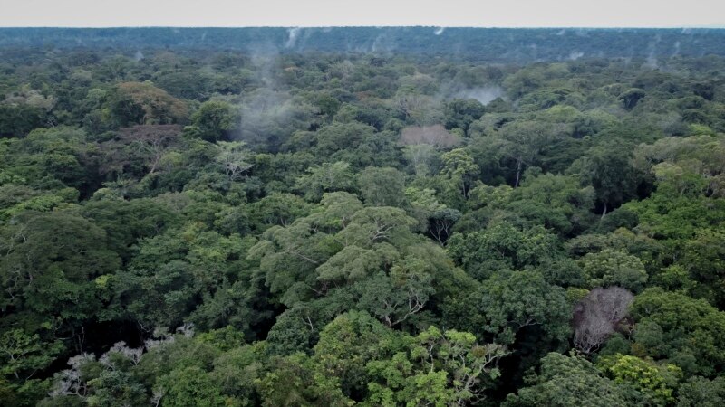 Au Congo, la préservation de la forêt se heurte à la résistance de la population