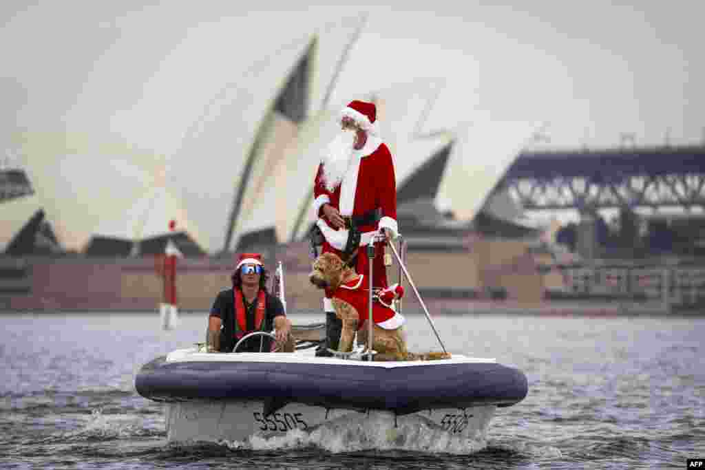 Seorang pria berpakaian seperti Sinterklas mengendarai perahu bersama anjingnya di depan Gedung Opera Sydney, dalam perlombaan kapal pesiar tahunan dari Sydney ke Hobart, Australia&nbsp;untuk ikut memeriahkan perayaan Natal.