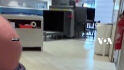 Kepala Monyet hingga Trenggiling Lazim Disita di Bandara Paris