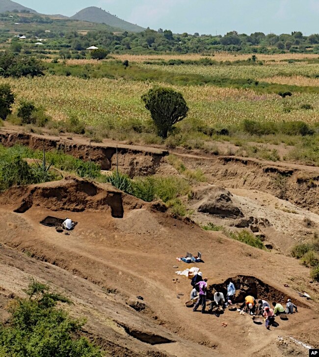 This photo shows excavation at the Nyayanga site in southwestern Kenya in July 2016. (J.S. Oliver/Homa Peninsula Paleoanthropology Project via AP)